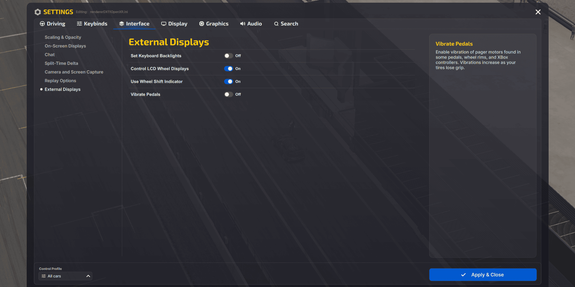 iRacing setting interface tab vibrate pedels offf